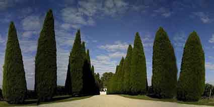 Chateau Trotanoy Pomerol Entree